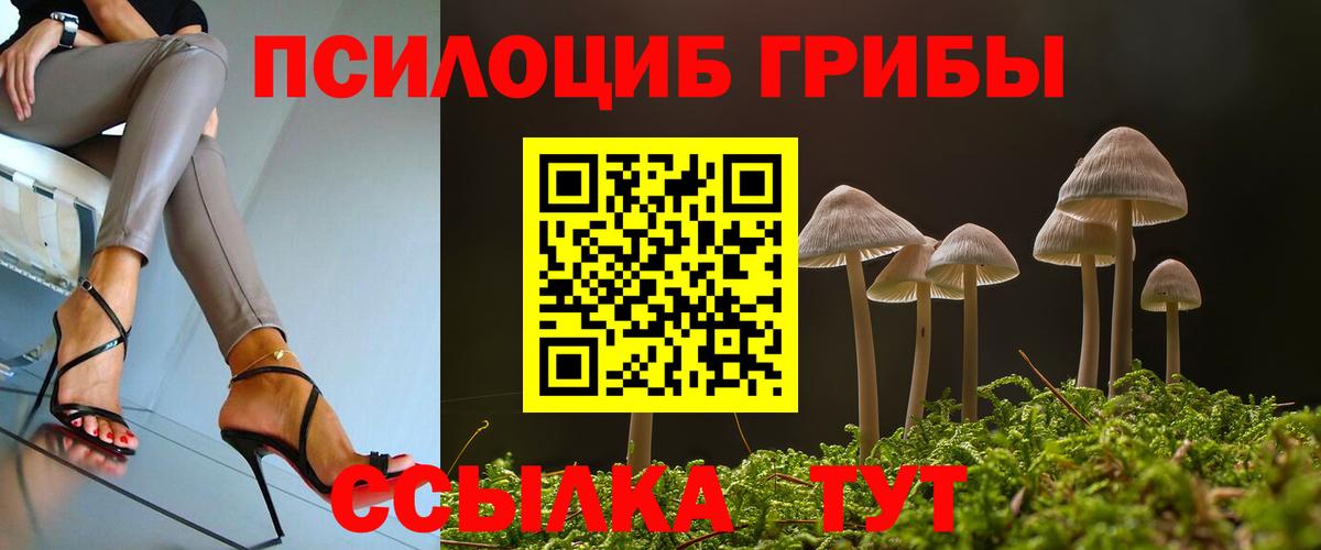 Сочи  Галлюциногенные грибы прущие грибы  Вход с VPN 